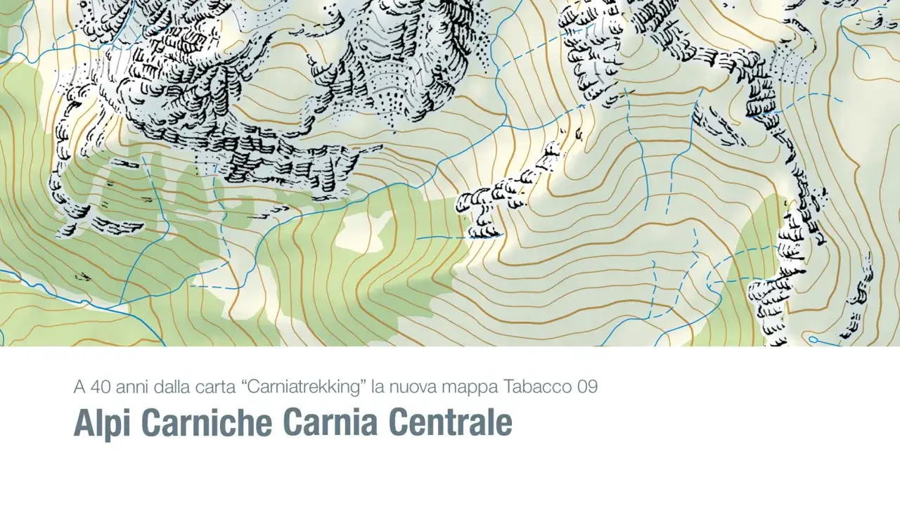 Mappa topografica delle Alpi Carniche, dove si trova la Carnia Centrale, con curve di livello e rilievi stilizzati.