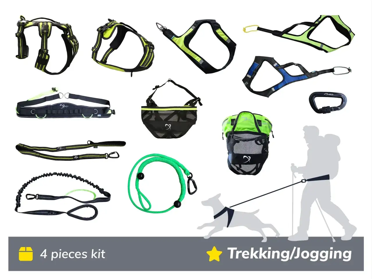 Utrustning för att vandra med hund: selar, koppel och midjebälte. Perfekt för aktiva äventyr!