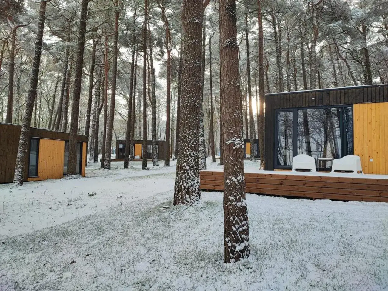 Nowoczesne domki nad morzem całoroczne w zimowej scenerii, otoczone ośnieżonym lasem.