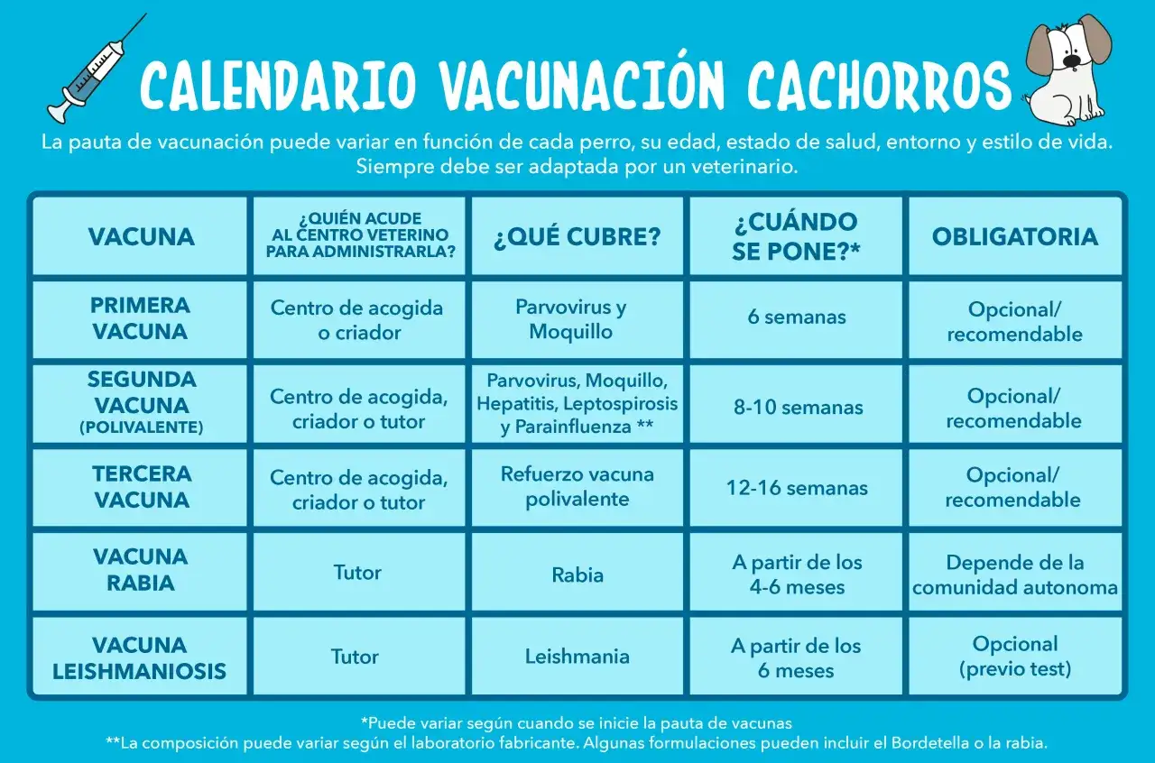 Calendario de vacunación para cachorros, incluyendo la vacuna trivalente para perros, con edades y coberturas.