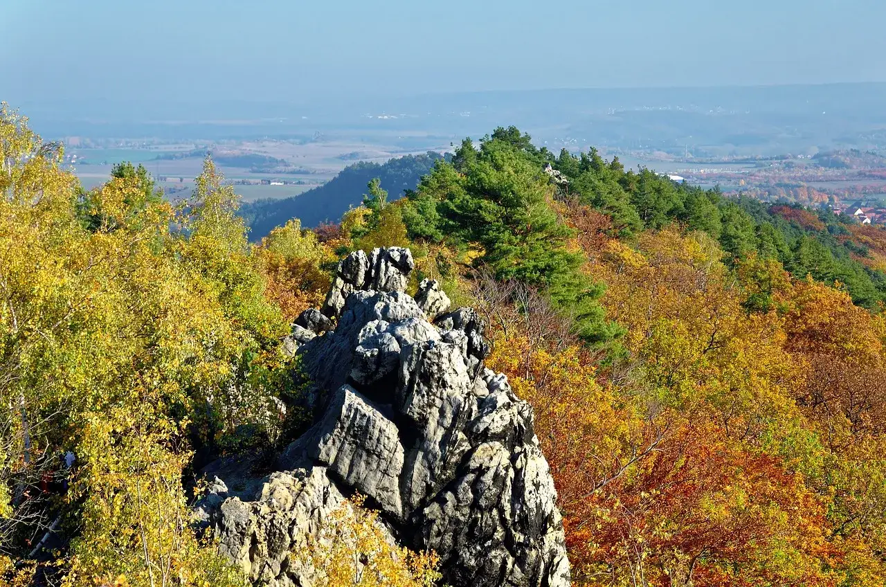 Felsformation im bunten Herbstwald des Harzes. Ein **Harz wandern Geheimtipp** mit toller Aussicht.