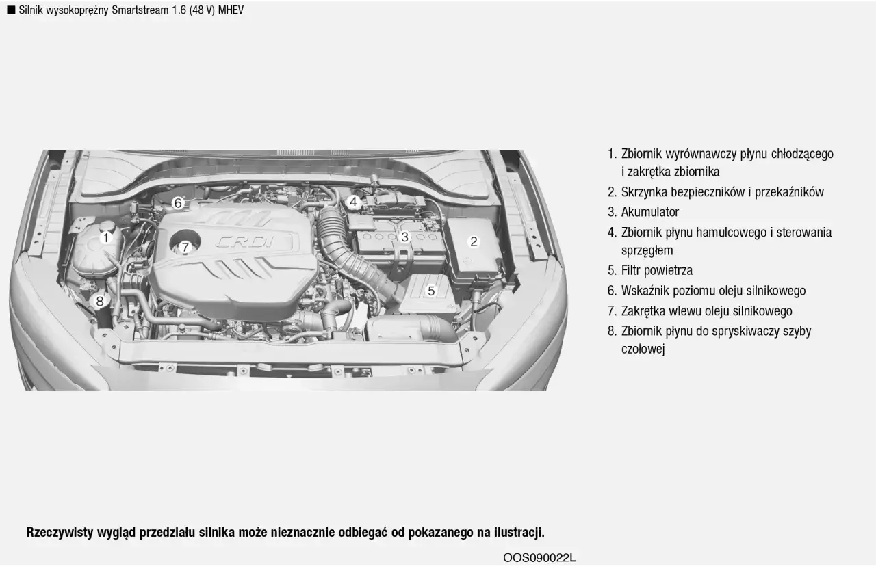 instrukcja obsługi samochodu lub katalog online oleju silnikowego