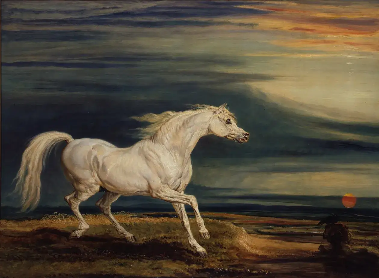 Un magnifique cheval blanc, peut-être Marengo, galope sous un ciel orageux. Un homme et un corbeau observent le soleil couchant.