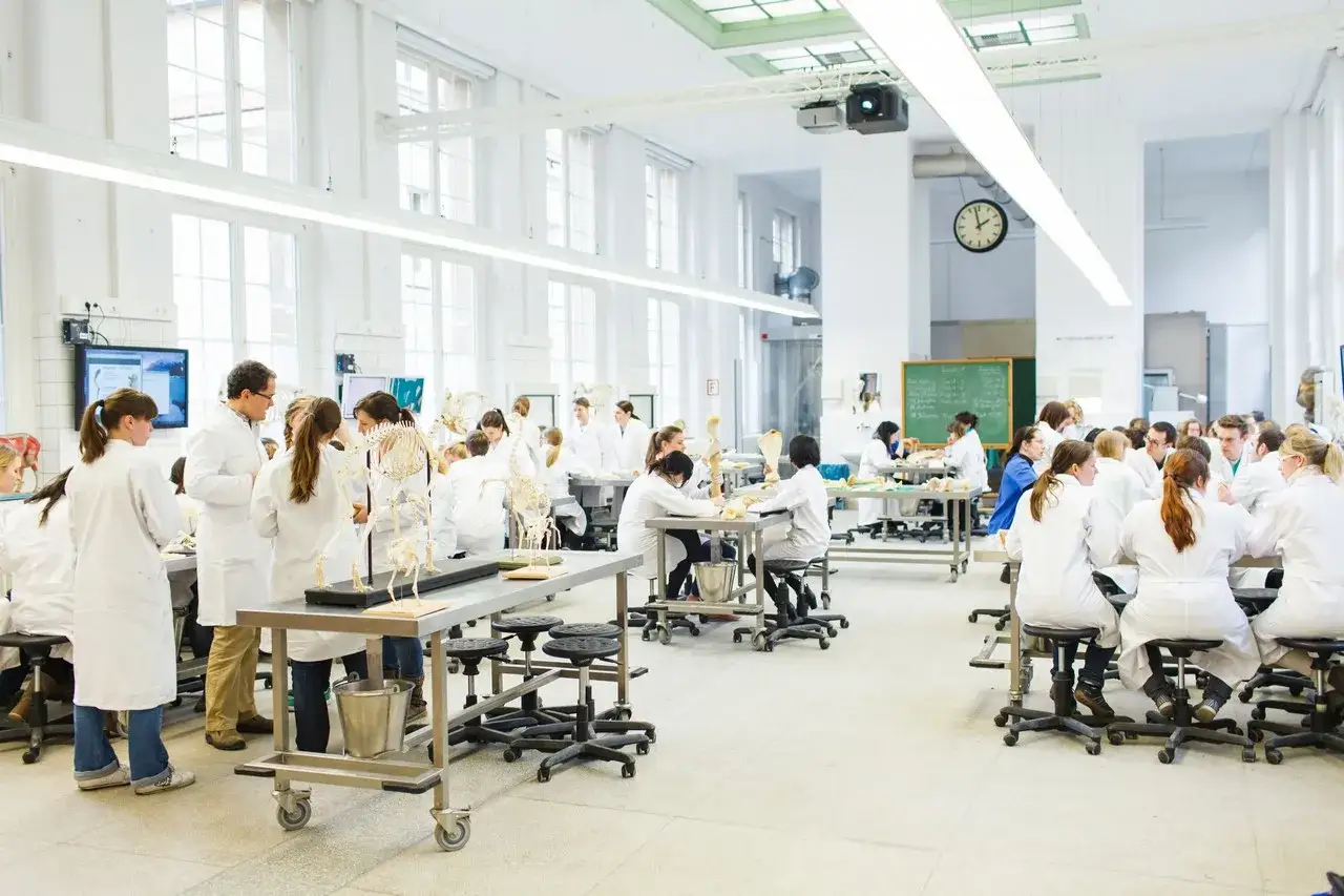 Studenten im wei&szlig;en Kittel lernen Tiermedizin in Deutschland. Sie untersuchen Skelette in einem hellen H&ouml;rsaal.