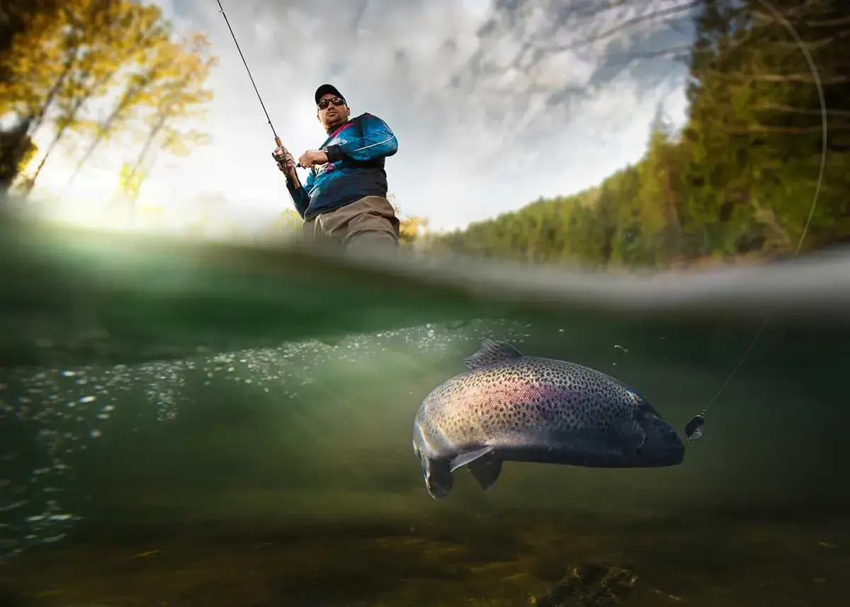 Ein Angler wirft seine Rute in einem Fluss, wo man Forellen angeln kann. Unter Wasser schwimmt eine gro&szlig;e Forelle auf den Haken zu.