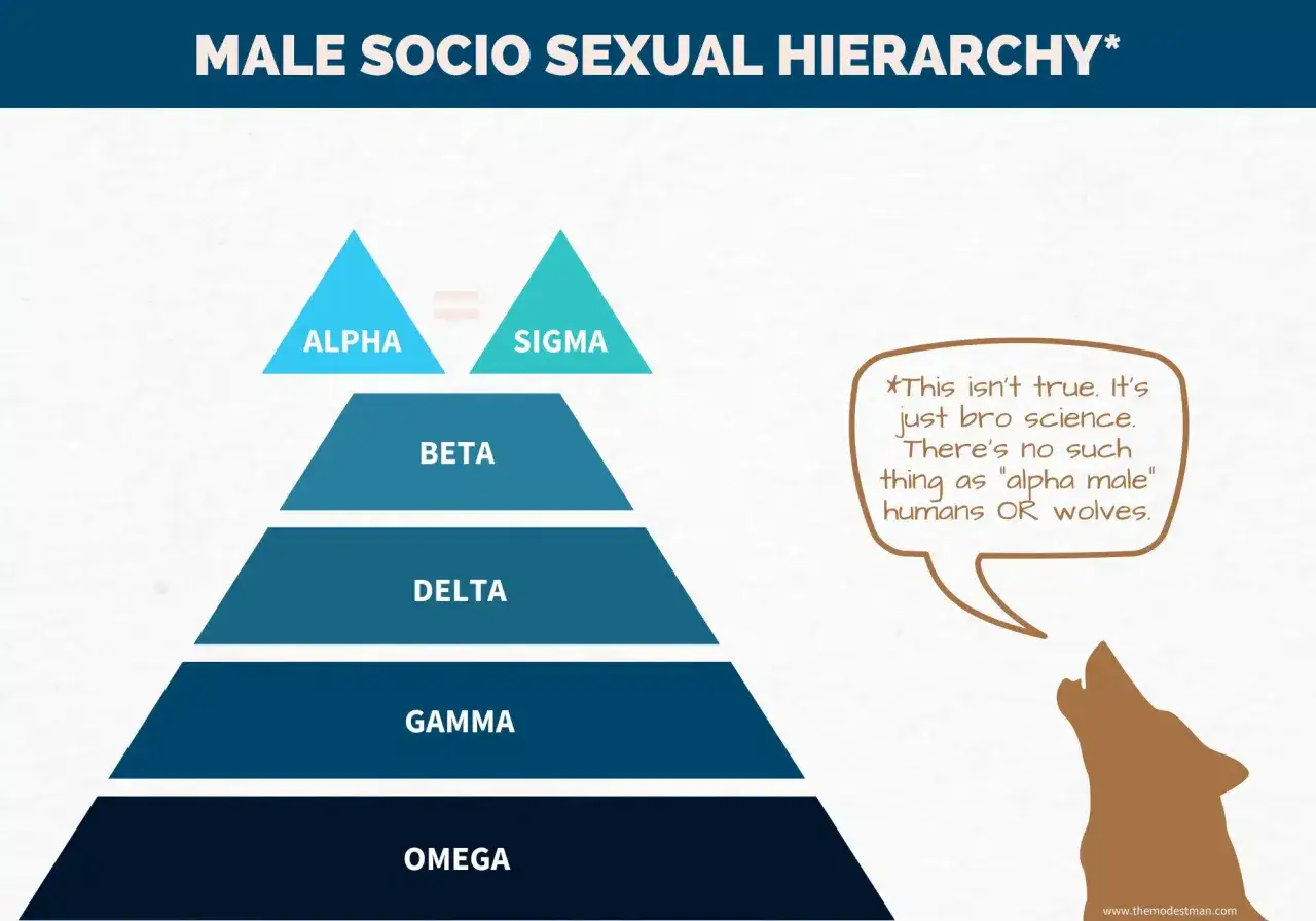 Hierarchia społeczno-seksualna: Alfa, Sigma, Beta, Delta, Gamma, Omega. Wilk kwestionuje koncepcję 