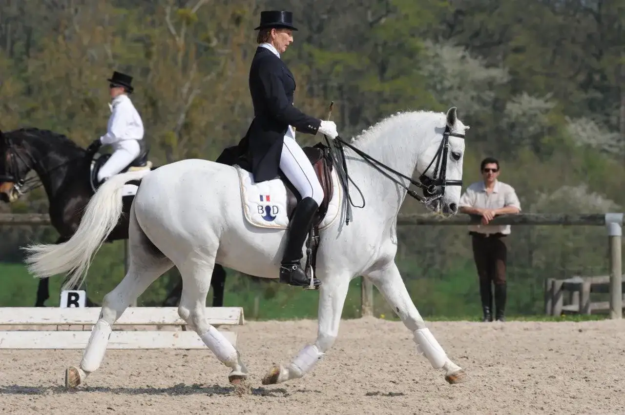 Un cavalier dressage français en tenue d'apparat monte un cheval blanc lors d'une compétition.