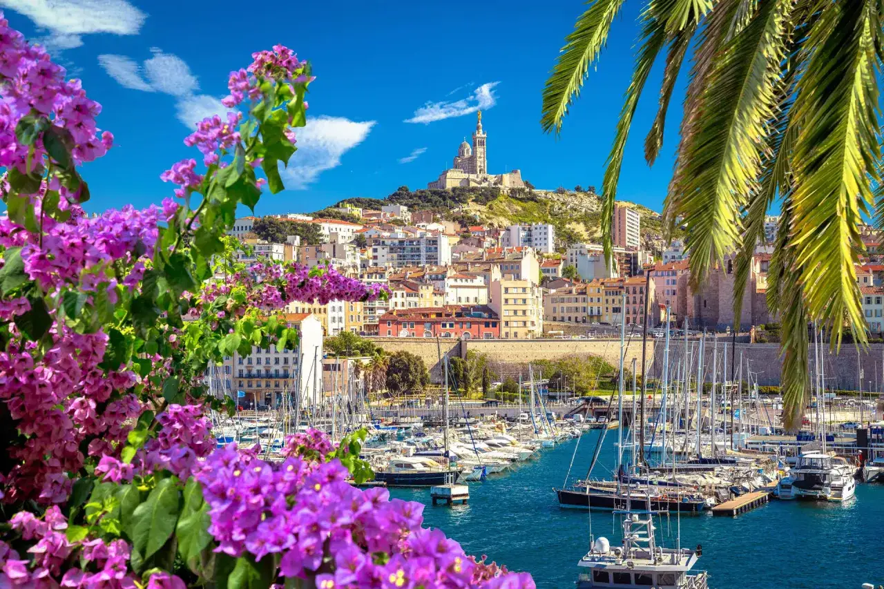 Kwiaty bugenwilli w Nicei, z widokiem na port w Marsylii i bazylikę Notre-Dame de la Garde.