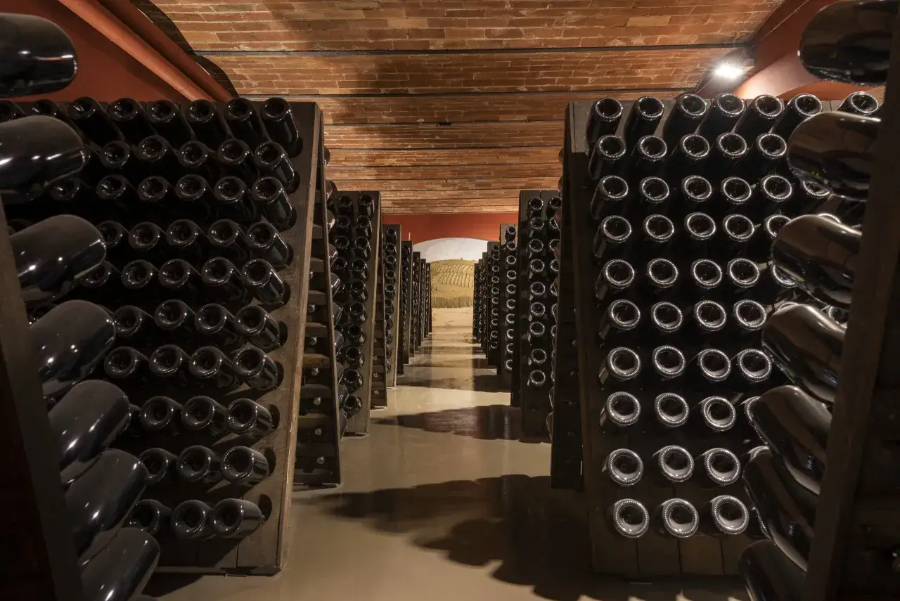 Cantina con file di bottiglie scure disposte su scaffali di legno, in attesa della maturazione secondo il metodo classico.