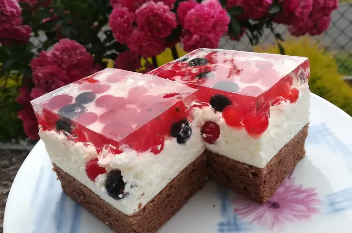 Pyszne ciasto porzeczkowiec z owocami zatopionymi w galaretce, na puszystym kremie i czekoladowym biszkopcie.