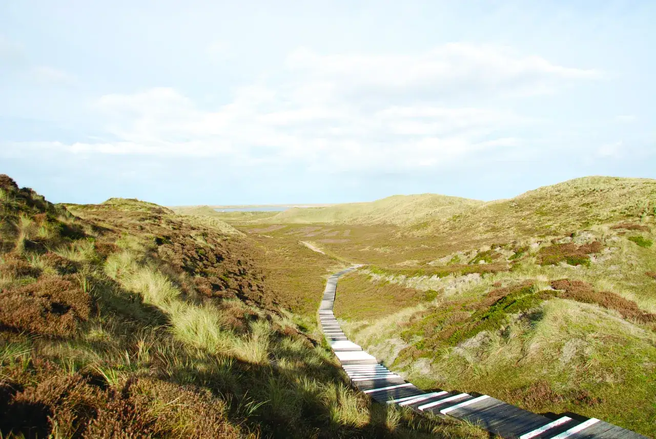List Sylt Hafen Wanderdünen