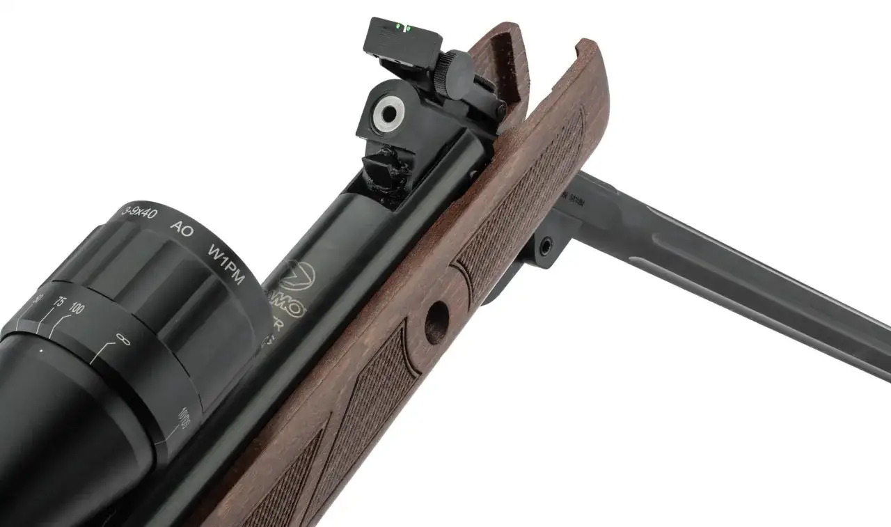 Détail d'une carabine Gamo Hunter 440, avec lunette 3-9x40 AO W1PM. Avis sur ce modèle.