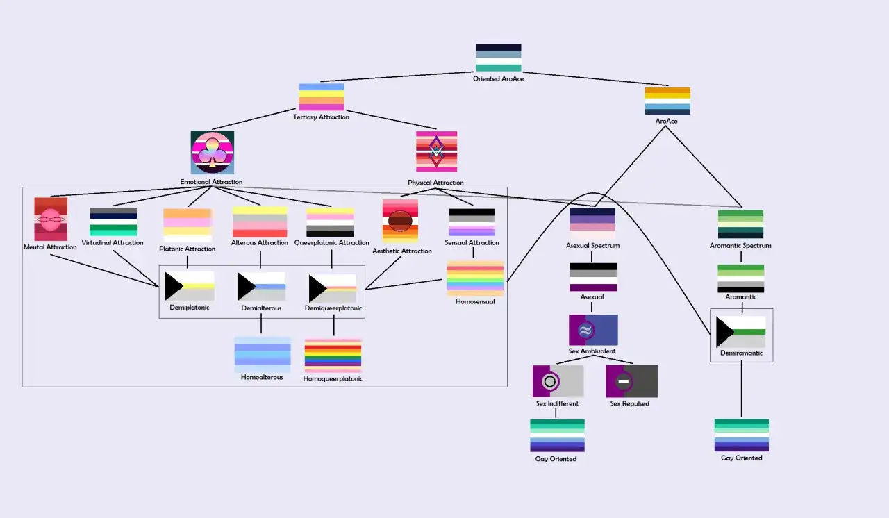 Diagramma che illustra le sfaccettature dell'attrazione, inclusi i concetti legati all'asessuale significato e alle diverse forme di attrazione.