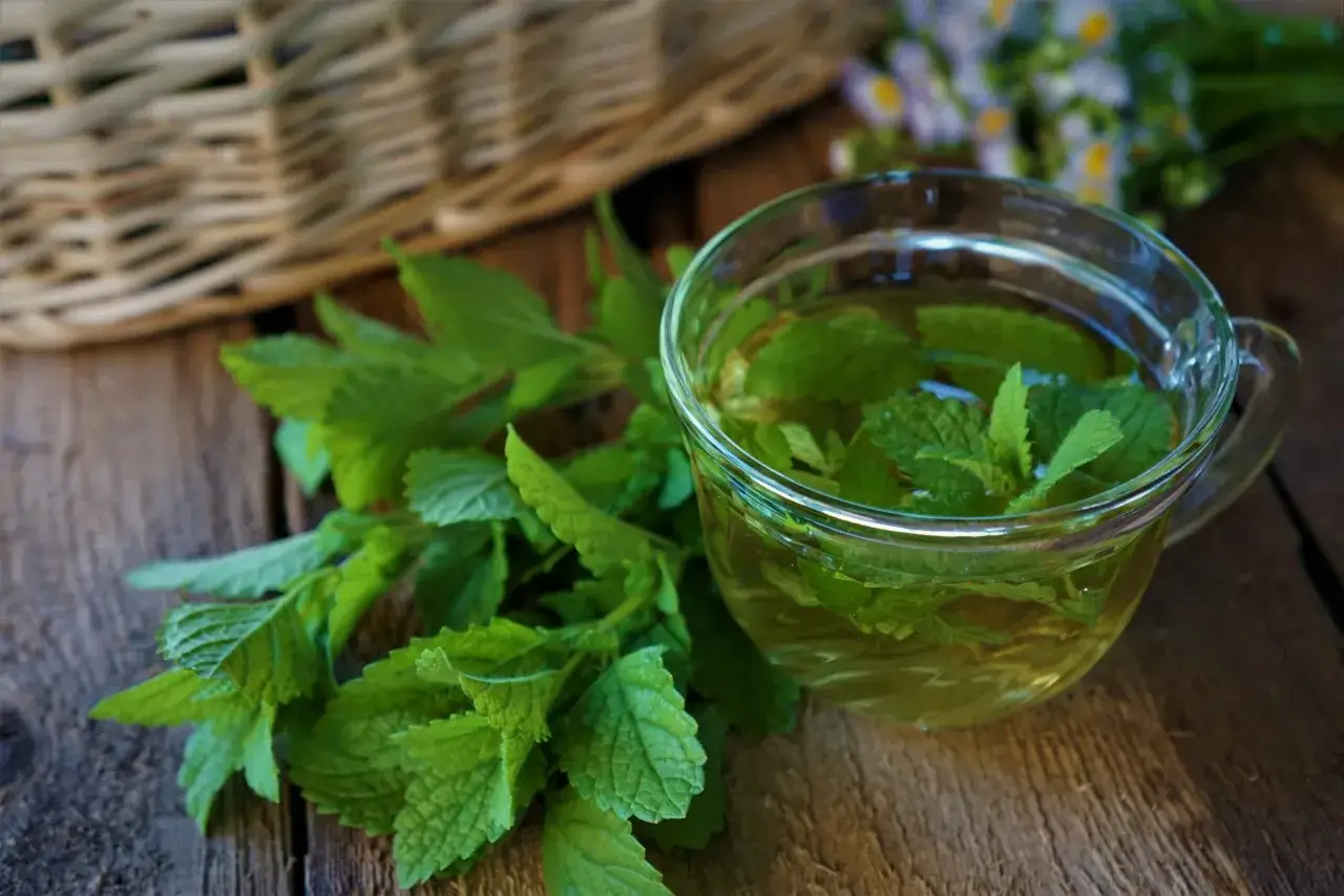 Świeża melisa w szklance z naparem i na drewnianym blacie. Idealny spos&oacute;b, by dowiedzieć się, ile parzyć melisę dla najlepszego smaku i aromatu.