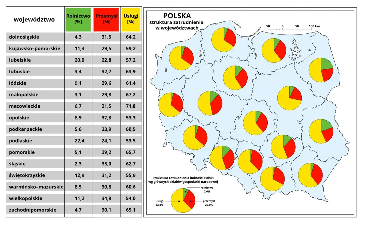 Struktura zatrudnienia w Polsce: w większości wojew&oacute;dztw dominuje sektor usług, choć przemysł i rolnictwo mają znaczący udział.