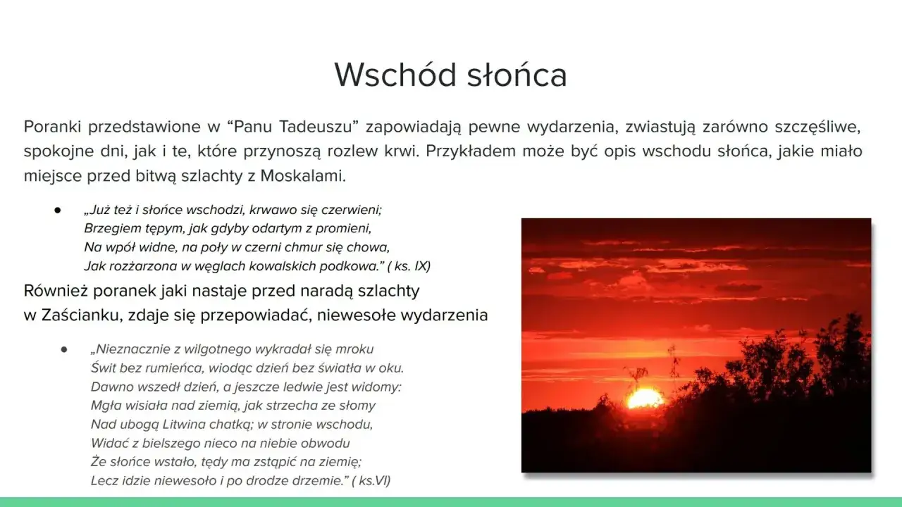 Pan Tadeusz opisy przyrody litewskiej