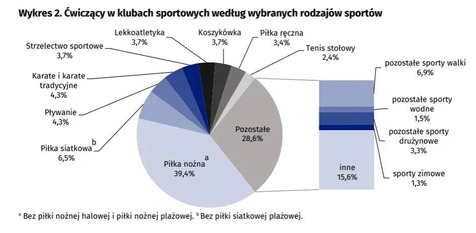 siatkówka w Polsce popularność