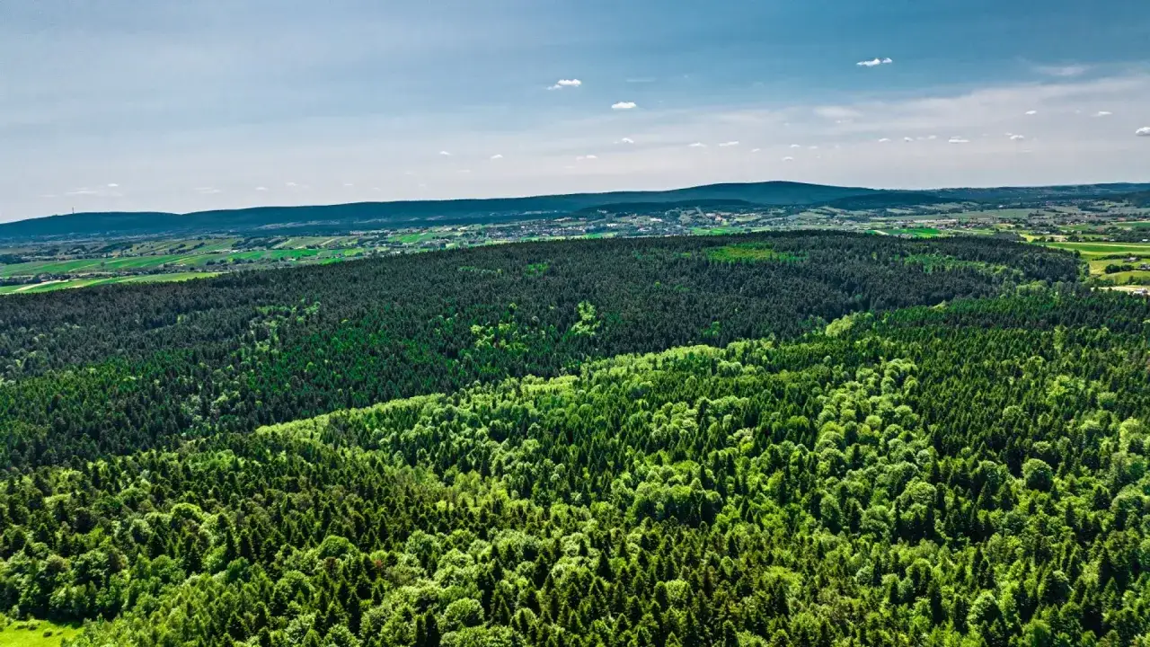 Rozległe lasy i pola w Sierakowickim Parku Krajobrazowym, idealne na piesze szlaki.