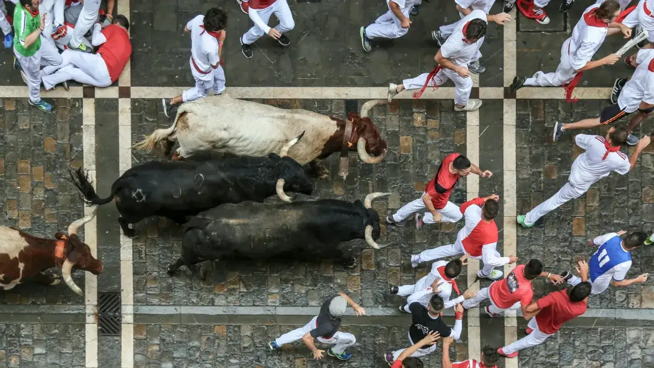 Corredores blancos y rojos huyen de toros negros y marrones durante las fiestas mayores.