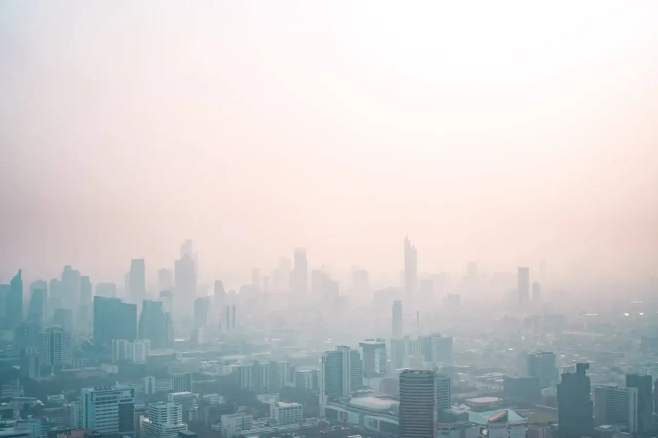 Smog londyński vs smog fotochemiczny infografika