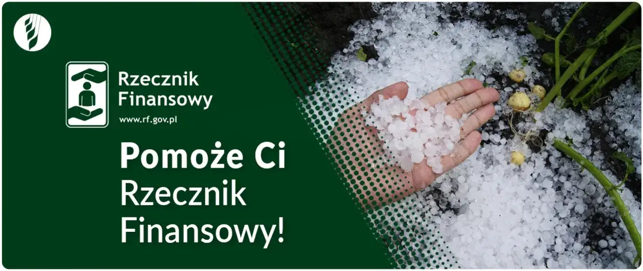 Grad zniszczył plony. Rzecznik Finansowy pomoże Ci w trudnej sytuacji.