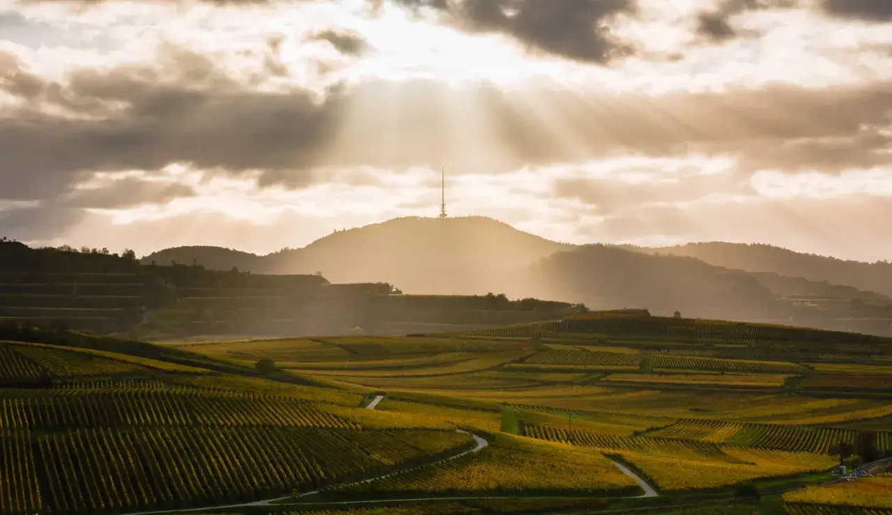 Sonnenstrahlen brechen durch Wolken &uuml;ber Weinbergen, die an H&auml;ngen angelegt sind. Ein Fernsehturm ragt auf einem H&uuml;gel auf. Hier gibt es die meiste Sonnenstunden Deutschland.