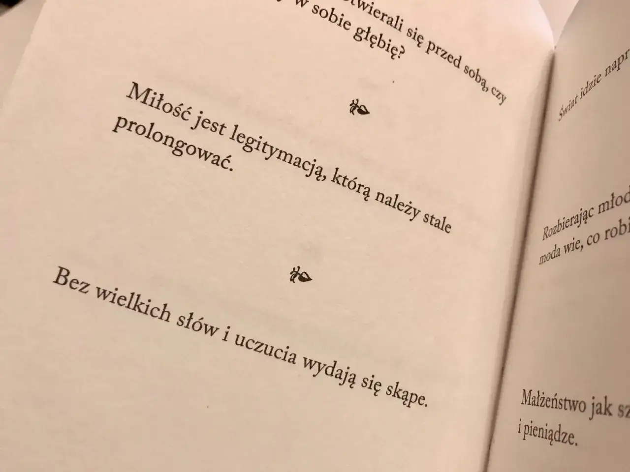 Aforyzmy Lidii Jasińskiej: 