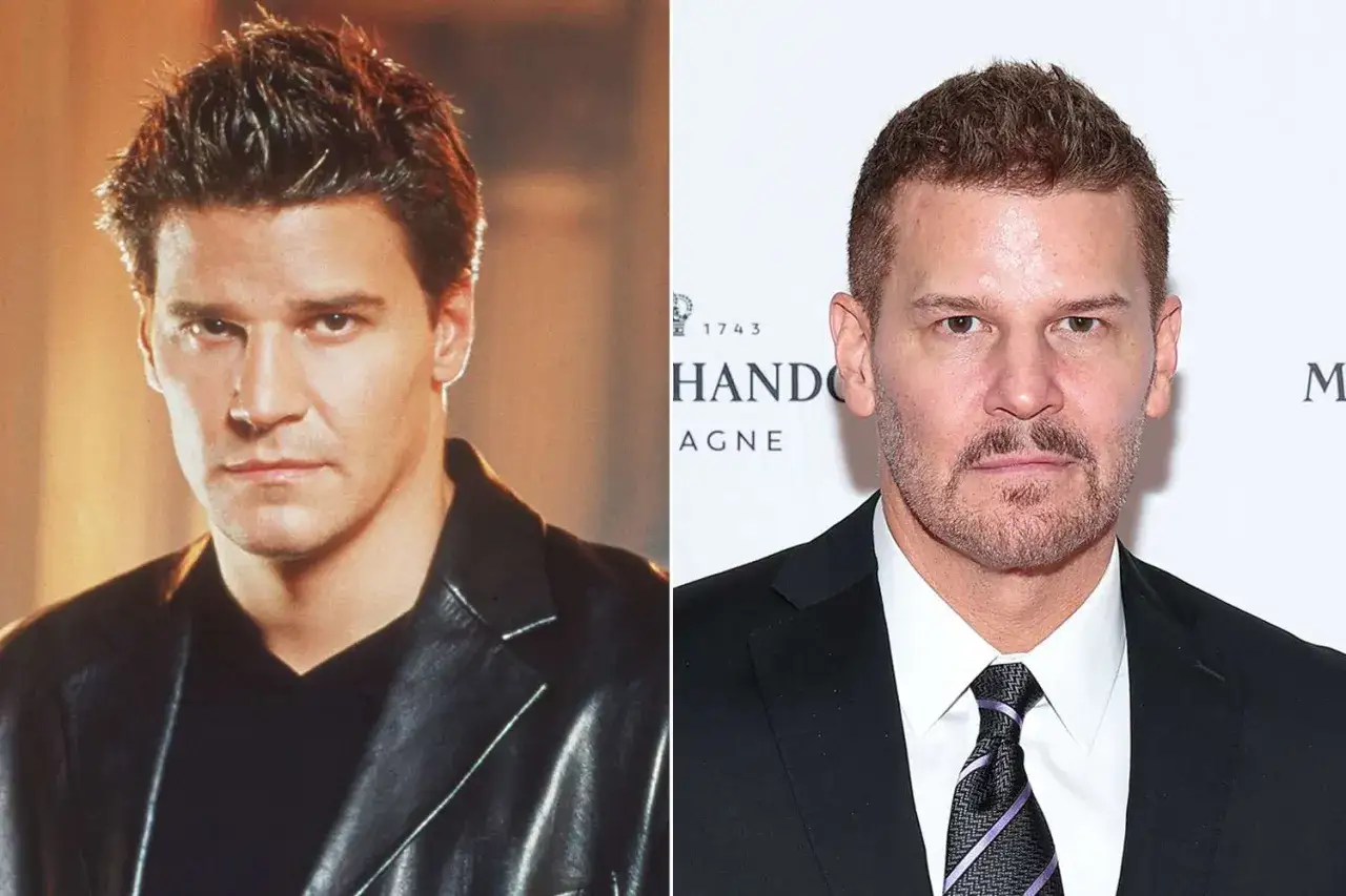 David Boreanaz, znany z roli Anioła w