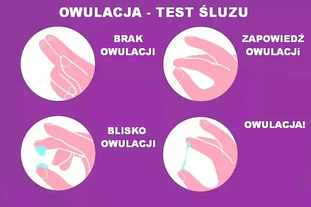śluz szyjkowy po owulacji wygląd konsystencja