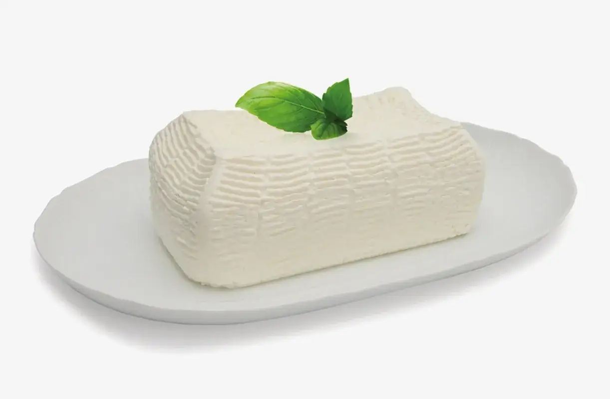 Tuma lattosio fresco, compatto e profumato, adagiato su un piatto bianco, con una foglia di basilico a guarnire.