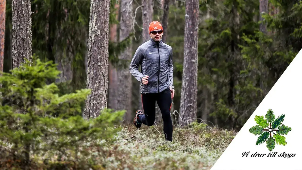 Man i grå jacka och orange mössa springer i skogen. Trail running i svensk natur.