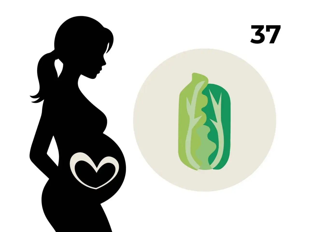 Silhouetten einer schwangeren Frau mit einem Herzsymbol auf dem Bauch. Daneben eine Illustration von Salat und die Zahl 37, die die 37. SSW symbolisiert.