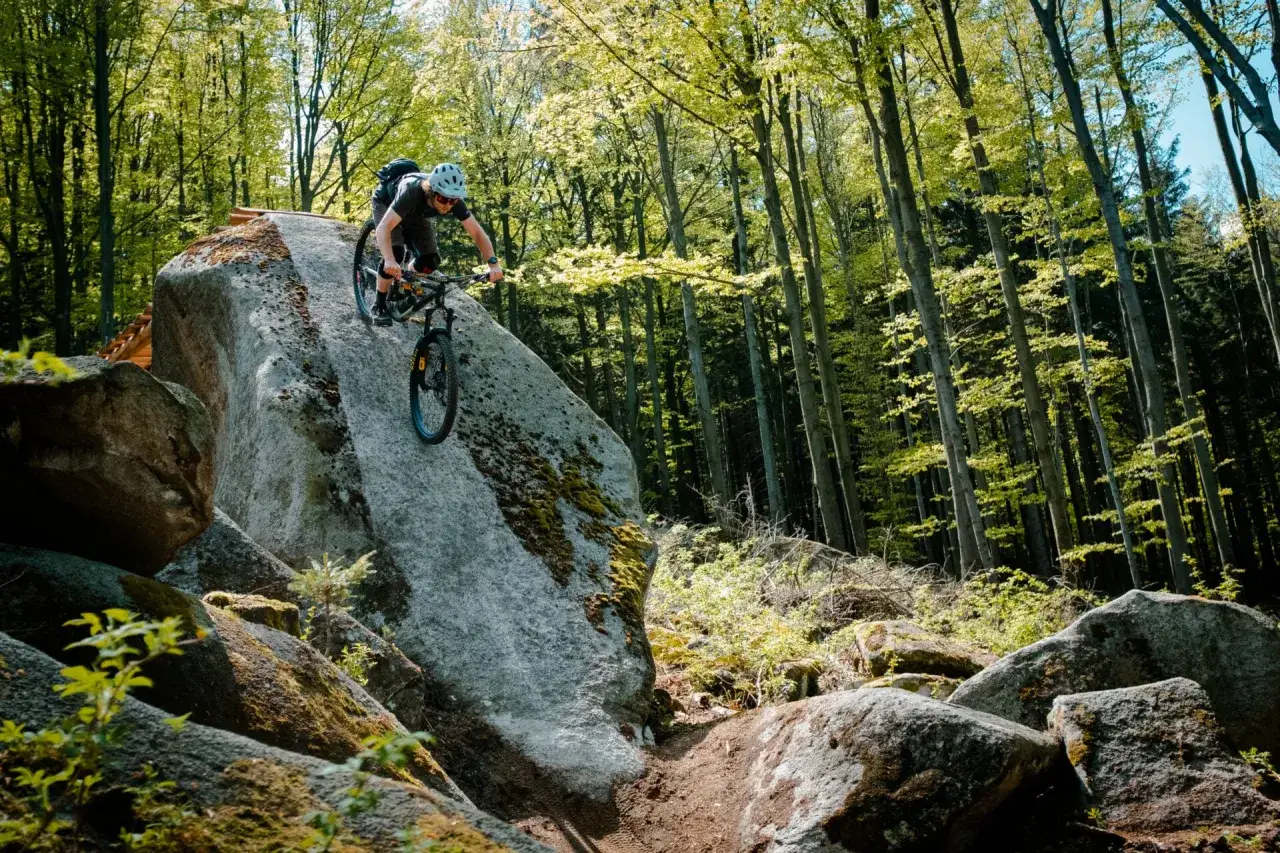 Mountainbiker meistert einen Felsbrocken auf den **r&yacute;chleby trails** im sonnigen Wald.