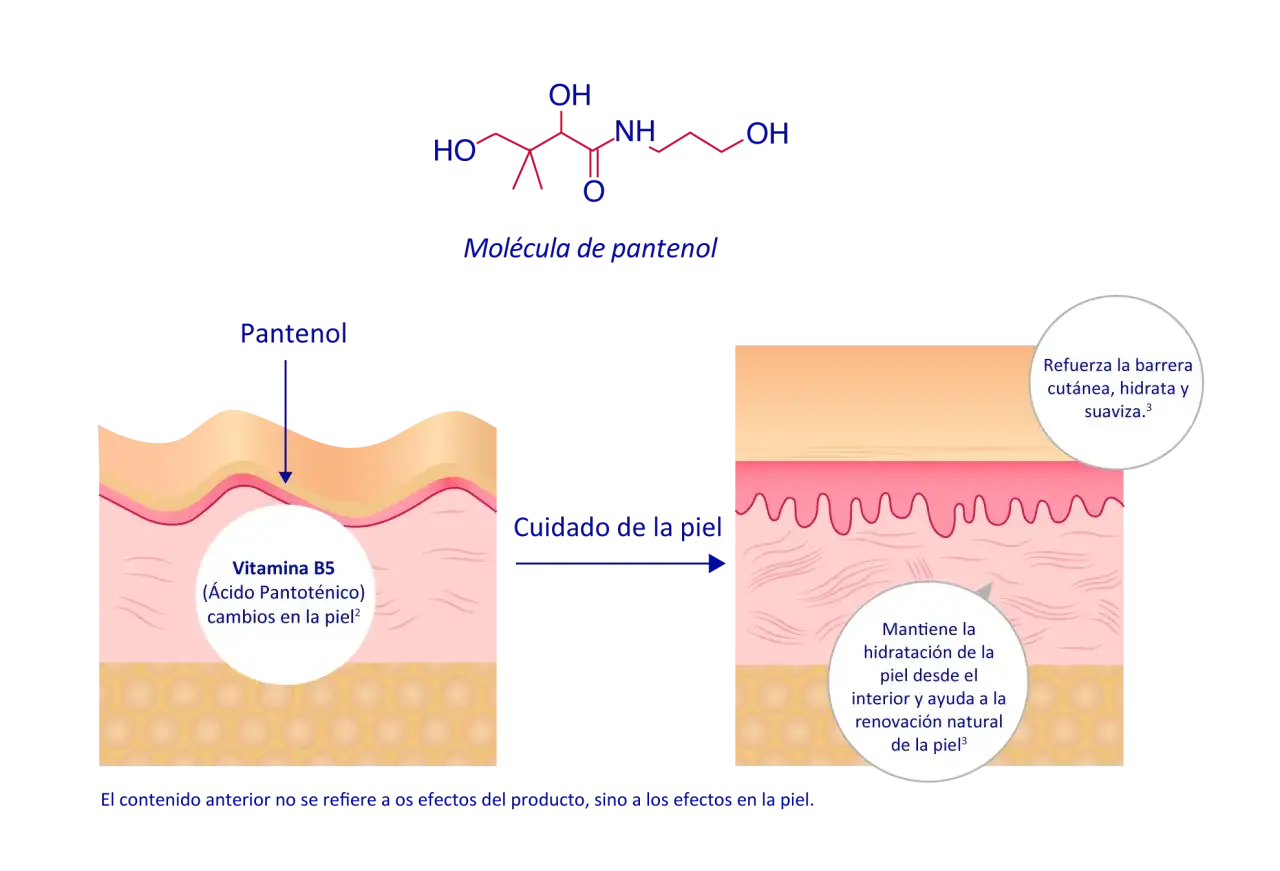 La molécula de pantenol (Vitamina B5) mejora la piel, reforzando su barrera, hidratando y suavizando.