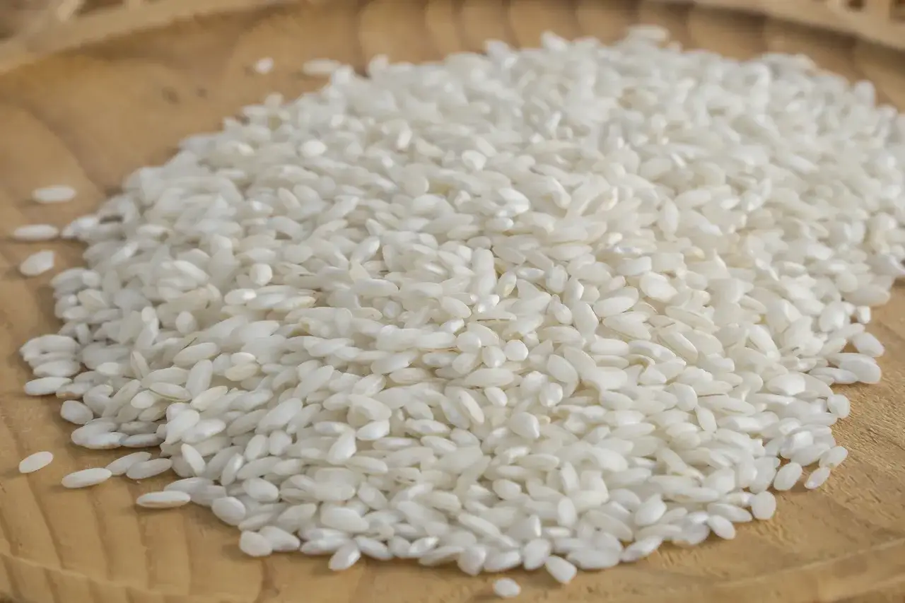 Montón de arroz Arborio, uno de los **arroz italiano tipos** perfectos para cremosos risottos.