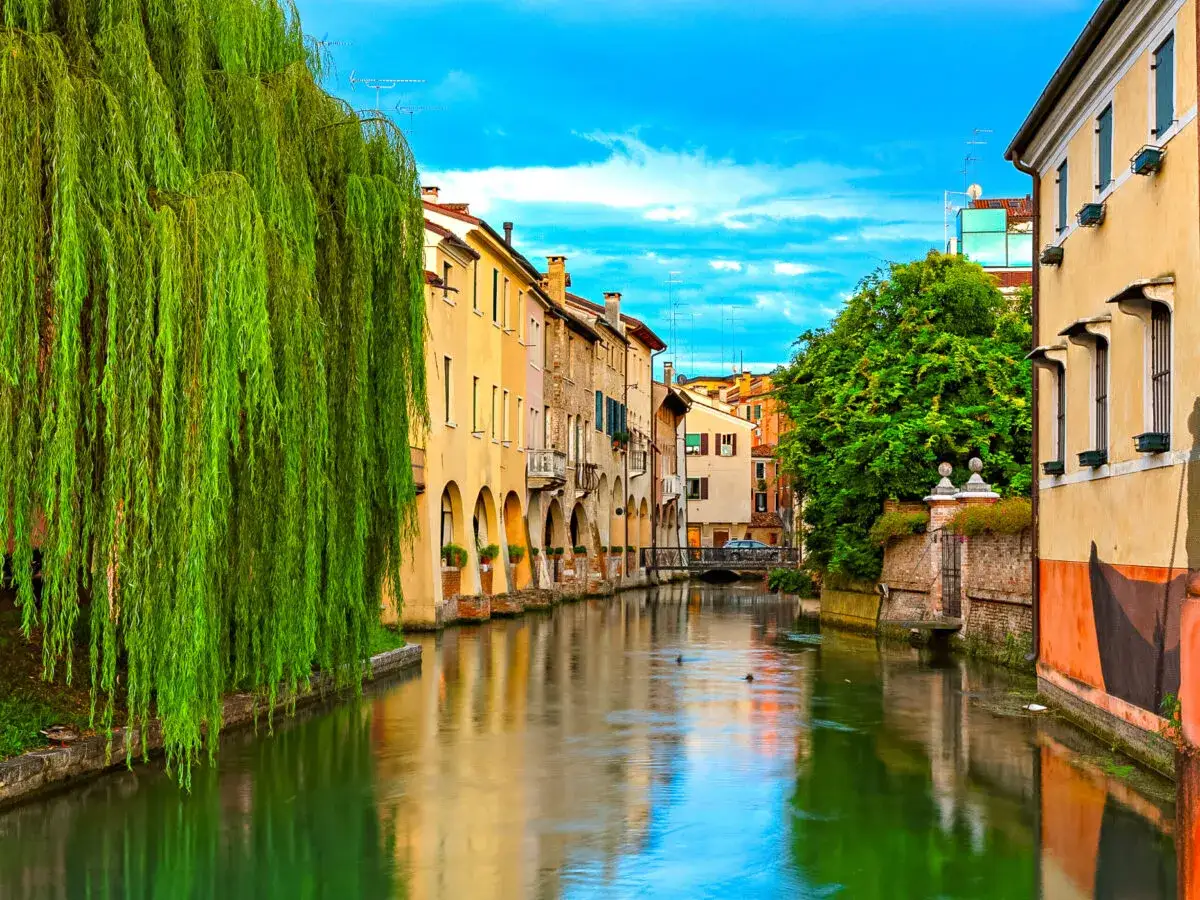 En gr&ouml;nskande kanal kantad av f&auml;rgglada hus i Treviso, Italien. En gr&aring;tande piltr&auml;d h&auml;nger &ouml;ver vattnet.