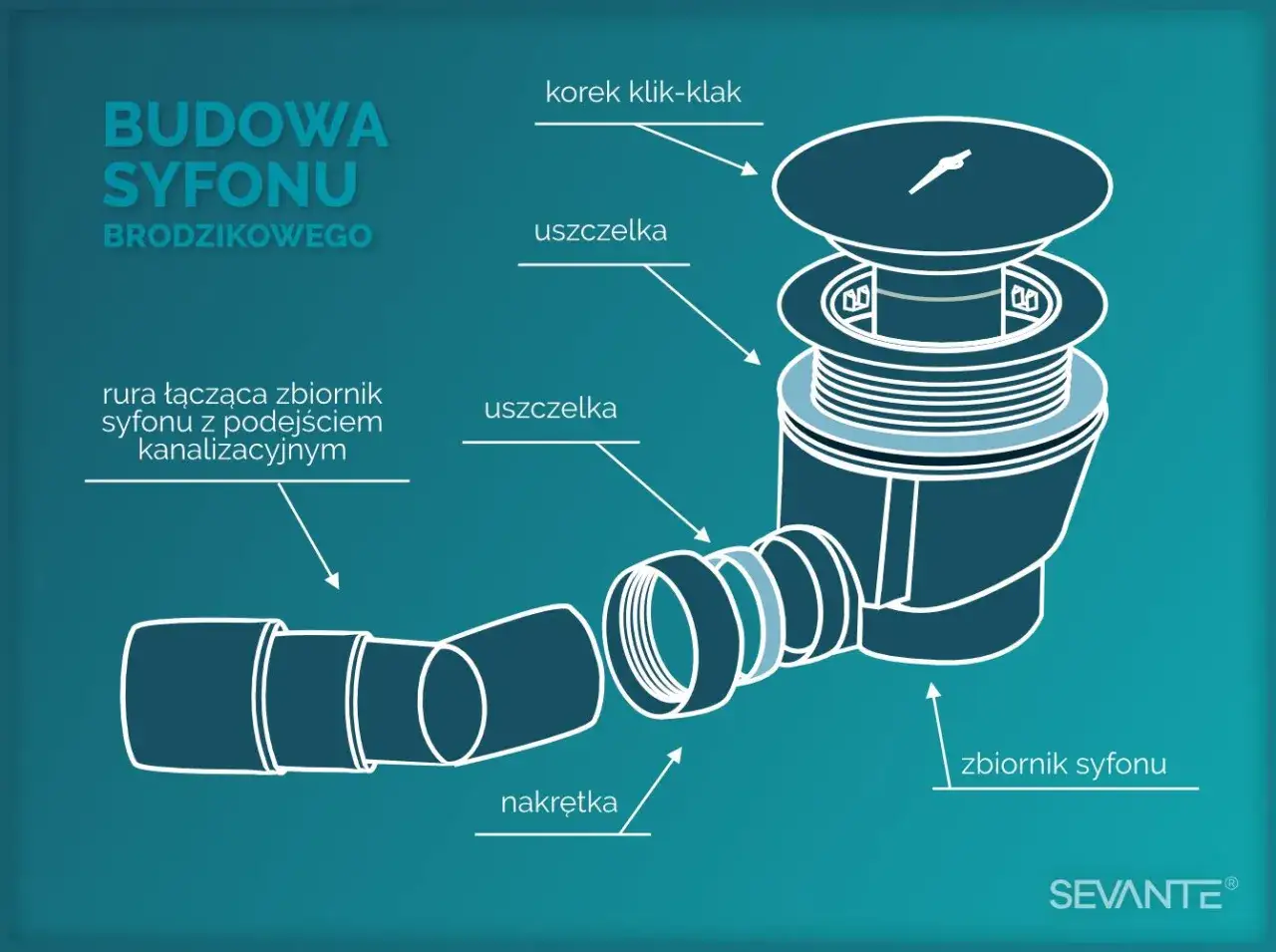 Schemat budowy syfonu w brodziku: korek klik-klak, uszczelki, rura łącząca, nakrętka i zbiornik syfonu.