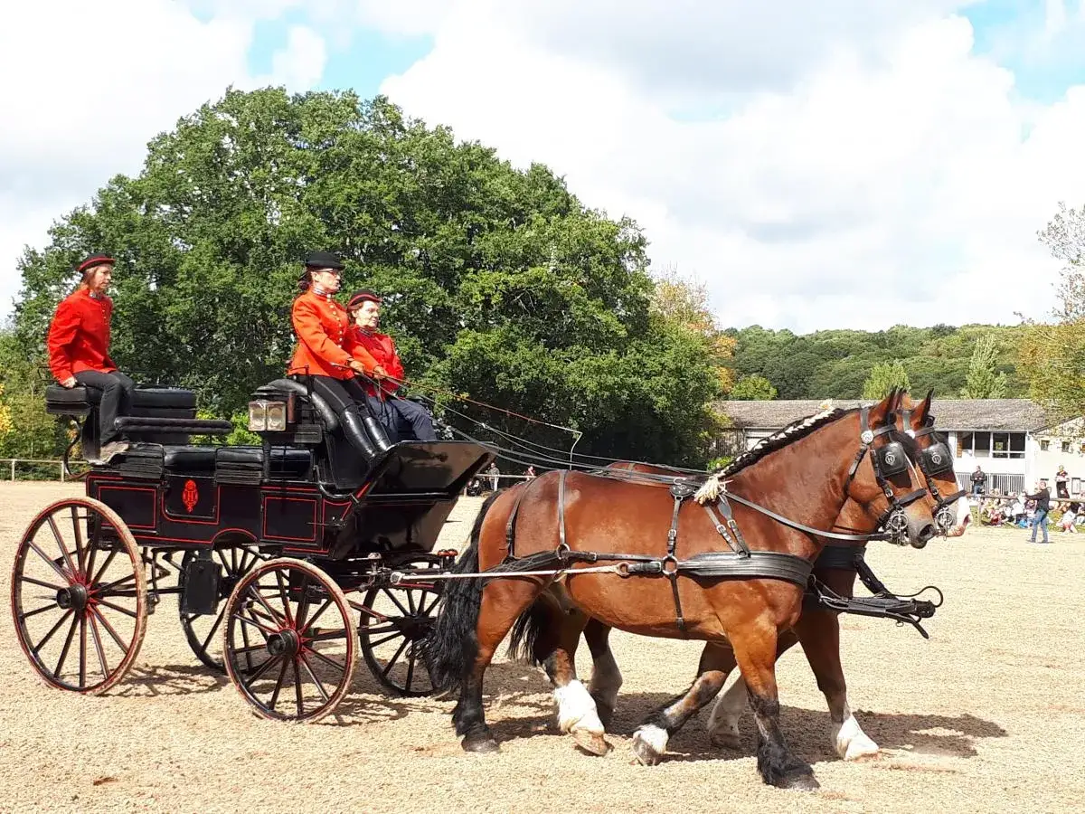Un magnifique cheval de trait tire une calèche ornée, avec trois personnes en tenue d'apparat.