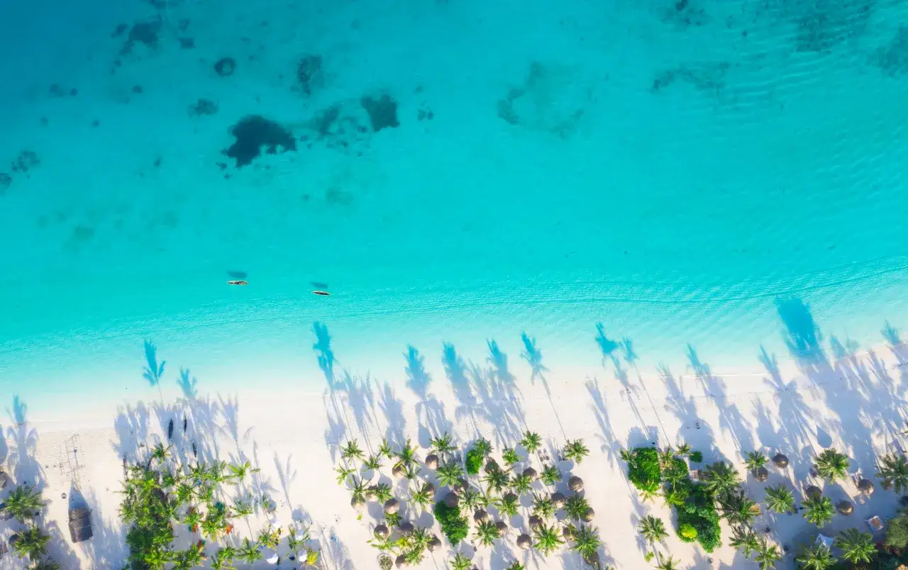 Rajska plaża z palmami i turkusową wodą. Zastanawiasz się, ile się leci na Zanzibar z Polski? To podróż marzeń!