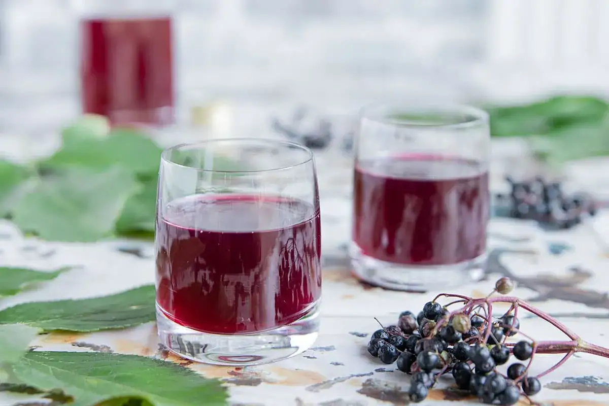 Zwei Gl&auml;ser dunkler Holunderbl&uuml;tenschnaps, bereit zum Genie&szlig;en. Frische Holunderbeeren und Bl&auml;tter liegen daneben.