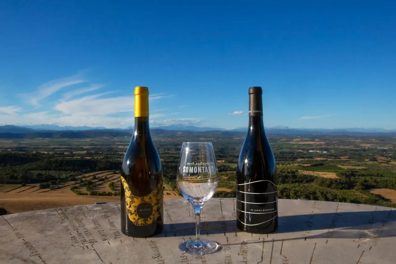 Dos botellas de vino, una blanca y otra tinta, junto a una copa en un paisaje montañoso. El vino barbastro, de Somontano, invita a disfrutar de la vista.