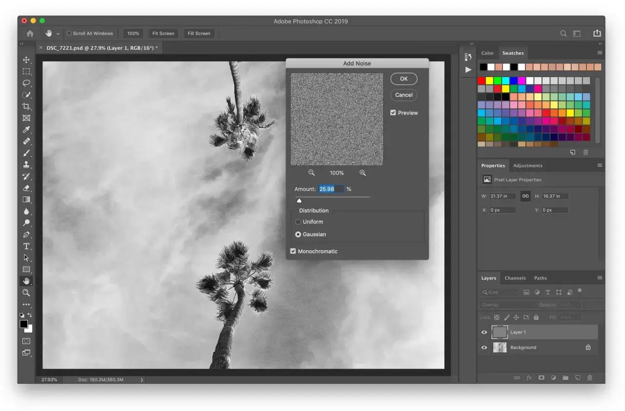 Dans Photoshop, l'ajout de **grain** &agrave; une photo de palmiers pour un effet artistique.