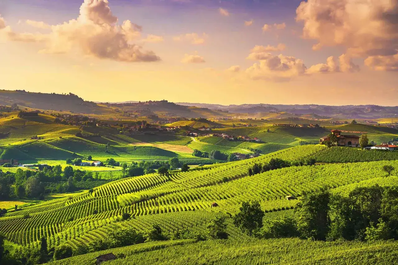 Colline verdi e ondulate, vigneti ordinati e casali pittoreschi invitano a **visitare Langhe** sotto un cielo dorato.