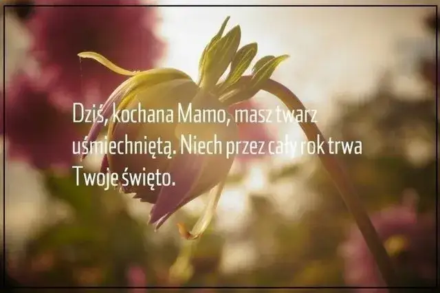 Krótkie życzenia na Dzień Matki SMS