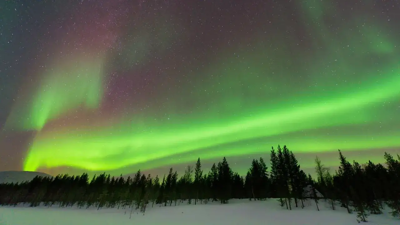 Norrsken dansar över en snötäckt skog i svenska Lappland.