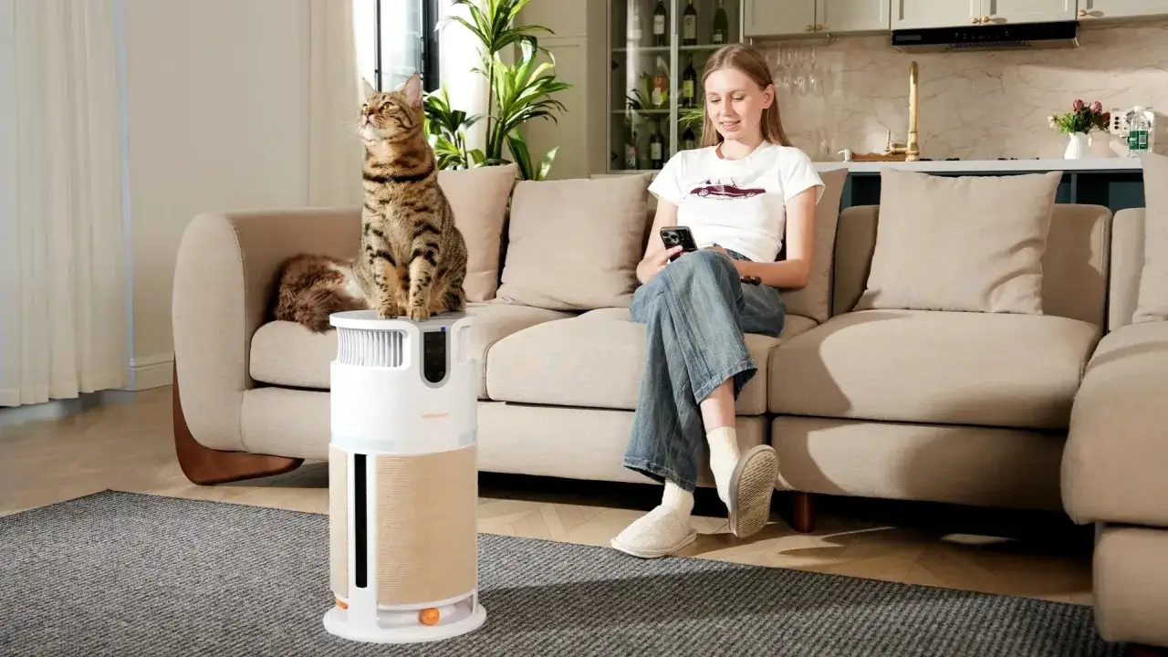 Un gato observa atentamente un purificador de aire para que sirve, mientras su due&ntilde;a revisa su m&oacute;vil en el sof&aacute;.