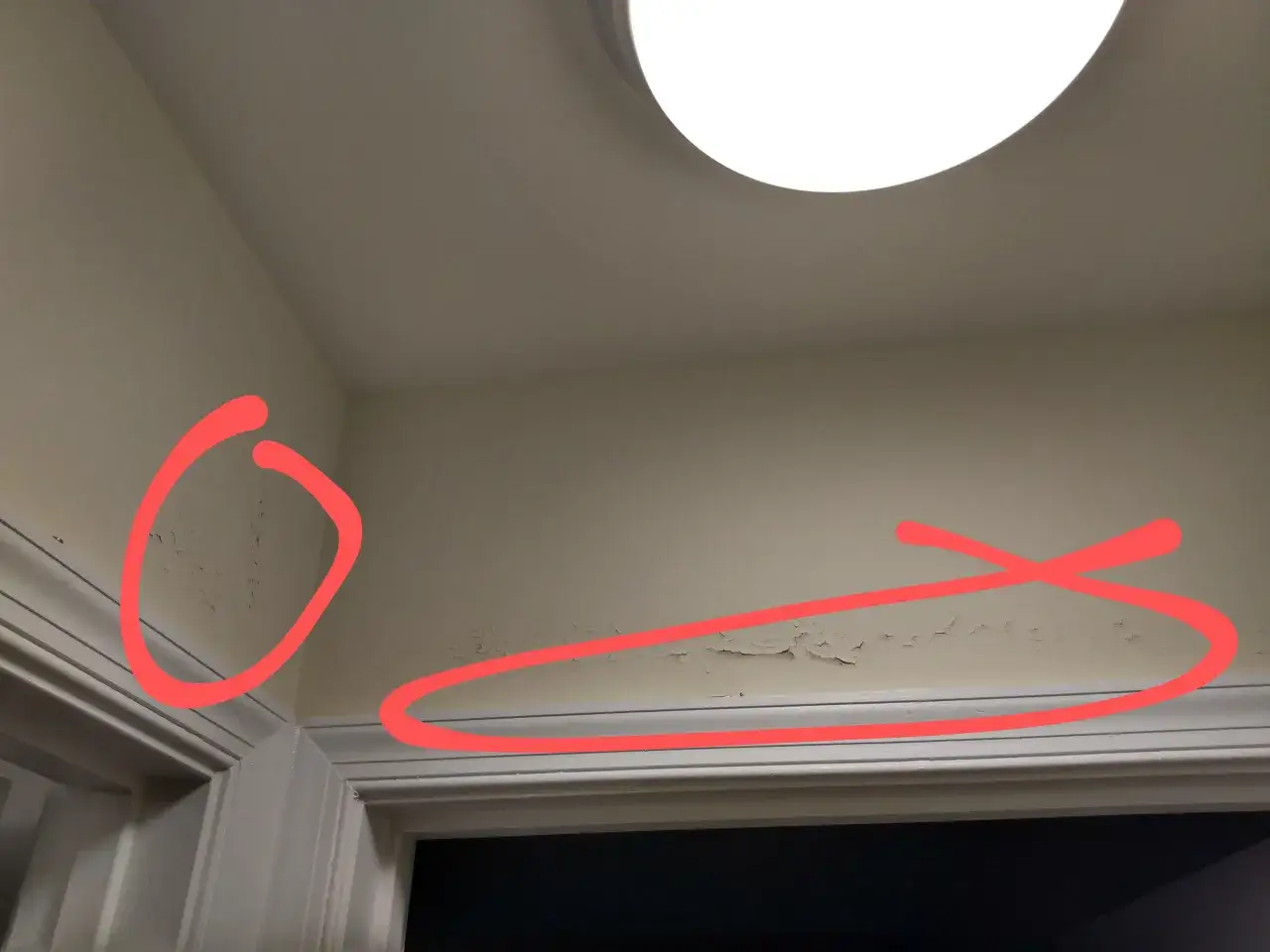 Peinture qui s'écaille sur le mur, signe d'une humidité persistante. Des zones sont mises en évidence par des cercles rouges.