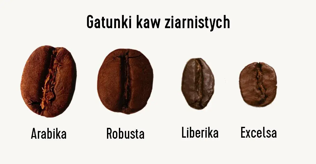 różne rodzaje kawy ziarnistej na prezent