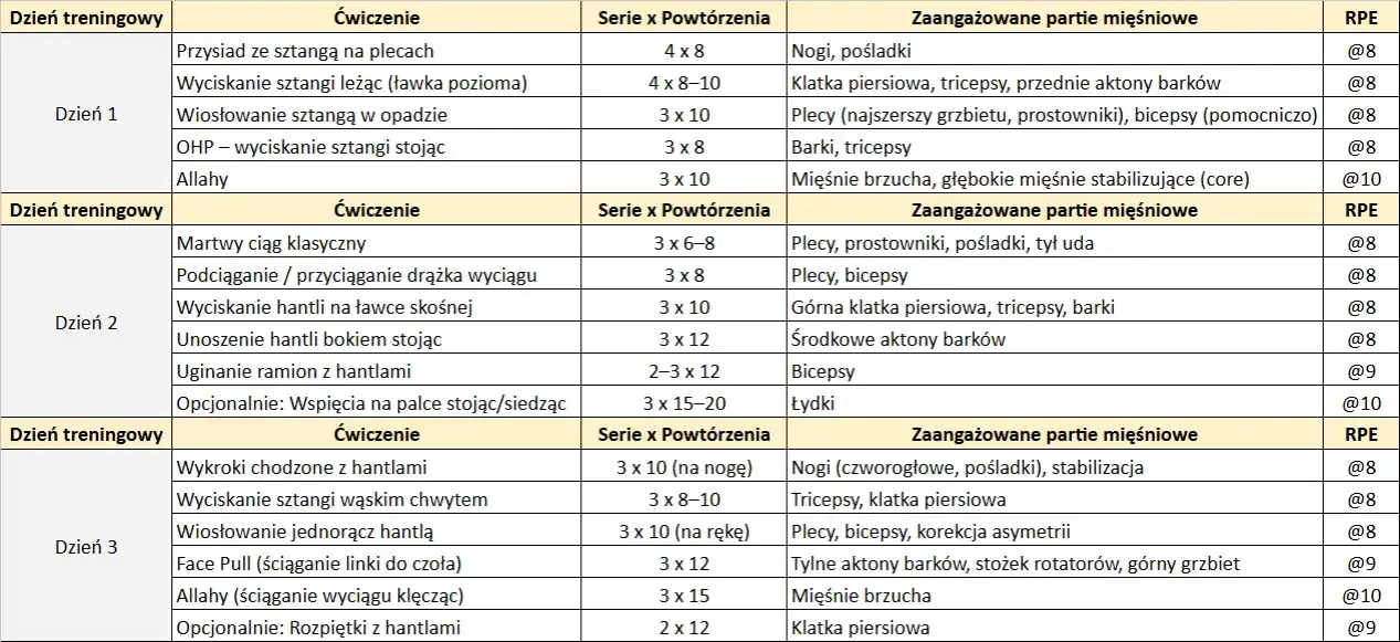 Przykładowa struktura treningu siłowego na redukcji