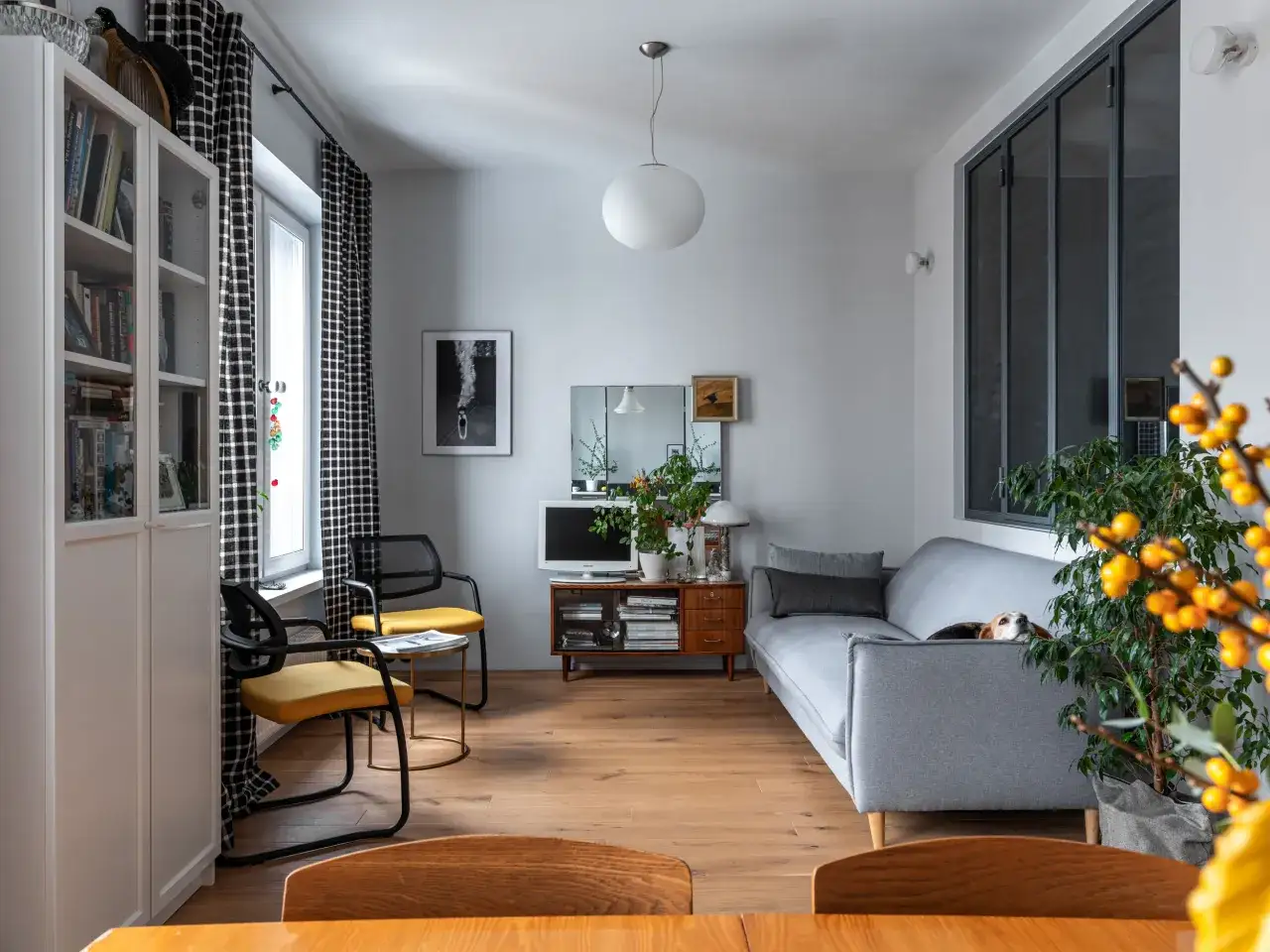 Un plan appartement 40m2 1 chambre bien aménagé avec un canapé gris, des chaises jaunes, une bibliothèque et un chien endormi.